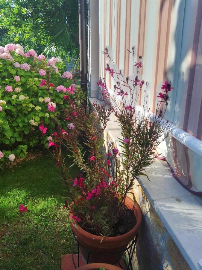 Donna Apartamento