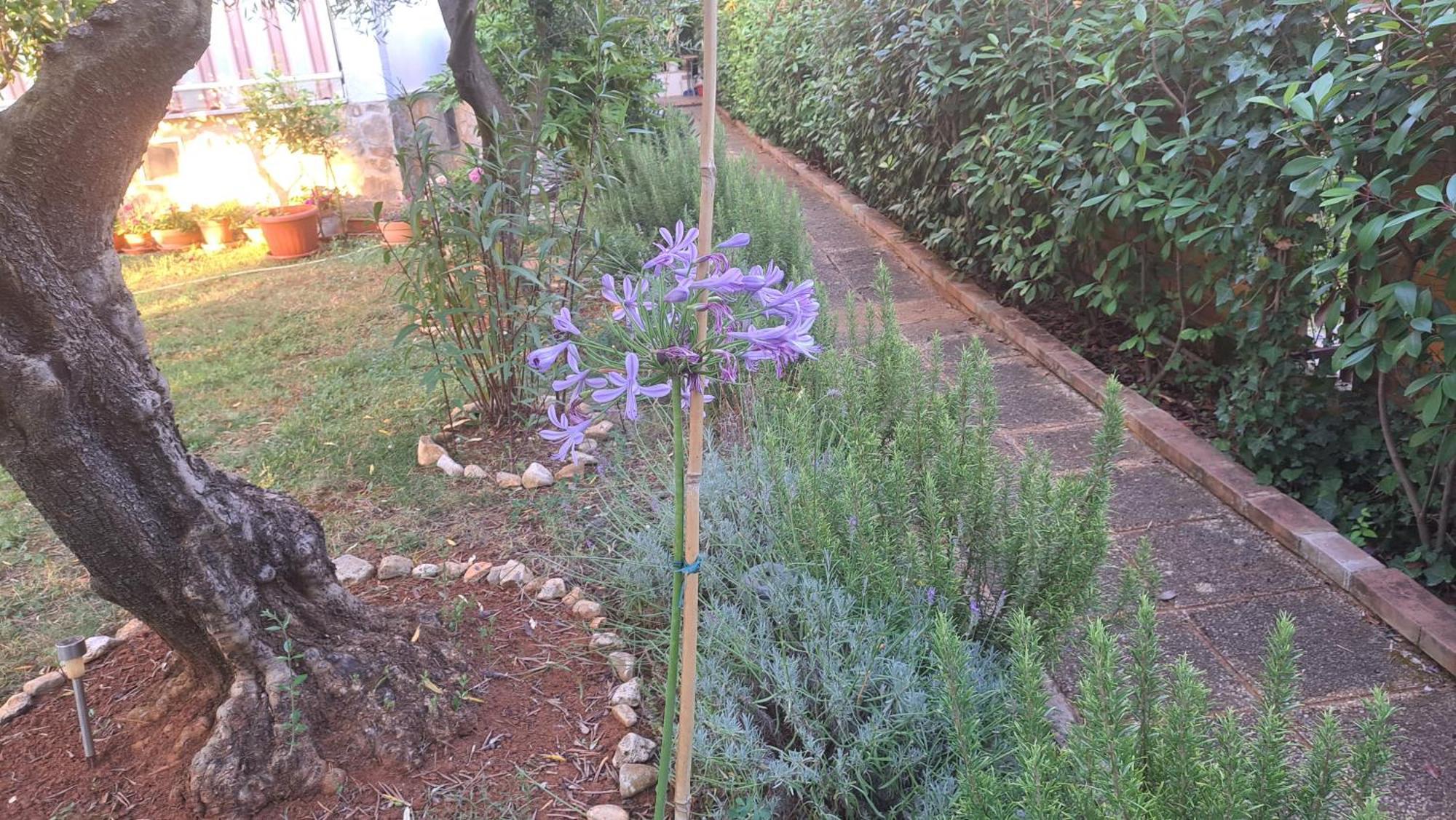 Donna Apartamento Poreč