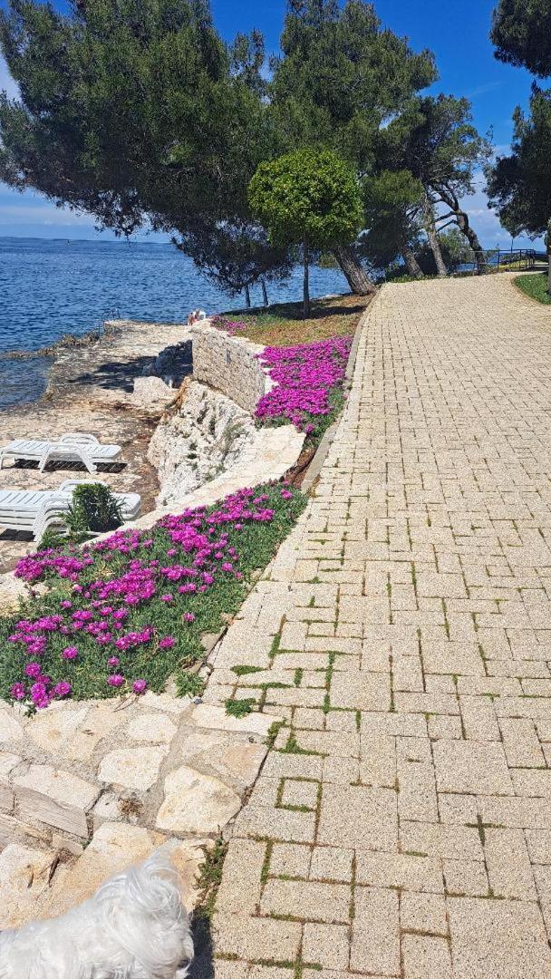 Donna Apartamento Poreč