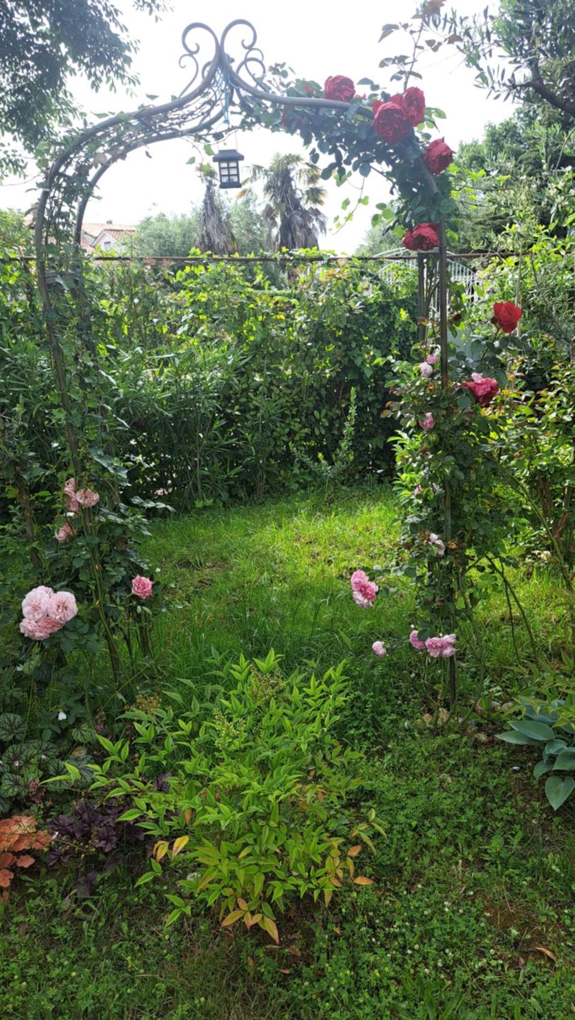 Apartament Donna *