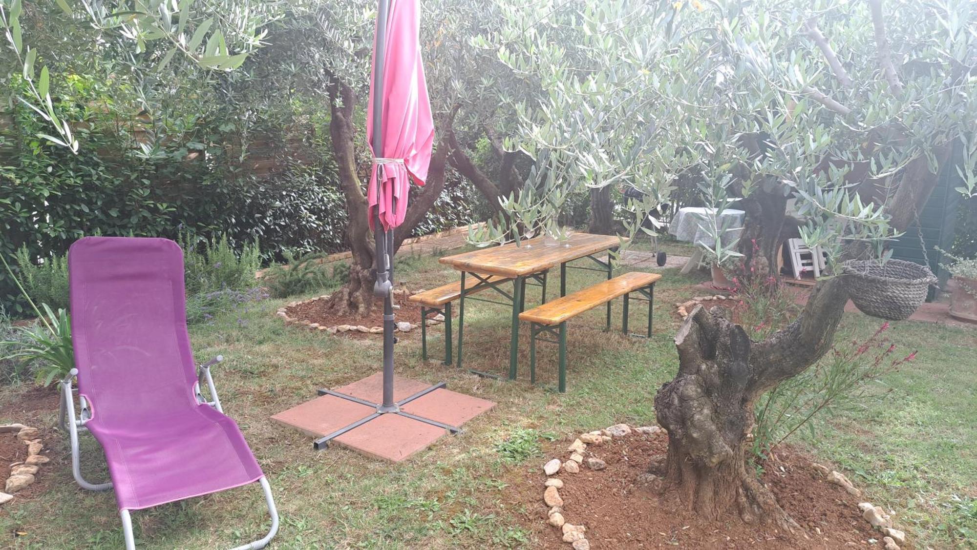 Donna Apartament