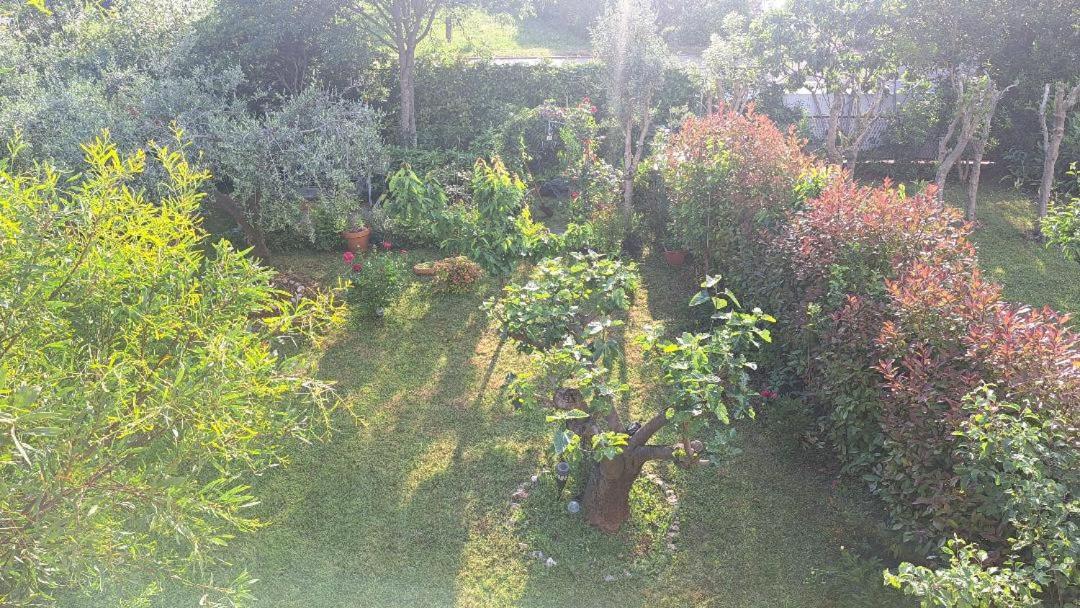 Apartament Donna *