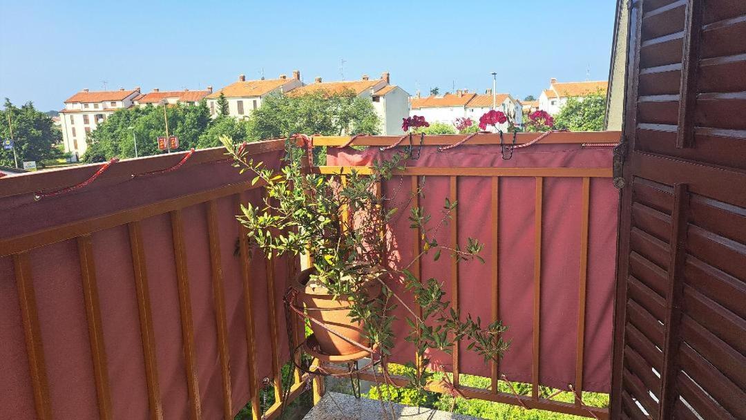 Apartament Donna